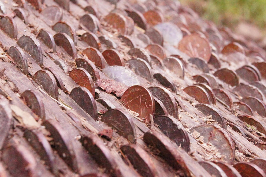 Copper Coin Tree Coin tree by alphiesworld on DeviantArt