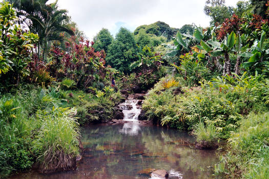 rainbow gardens - rear