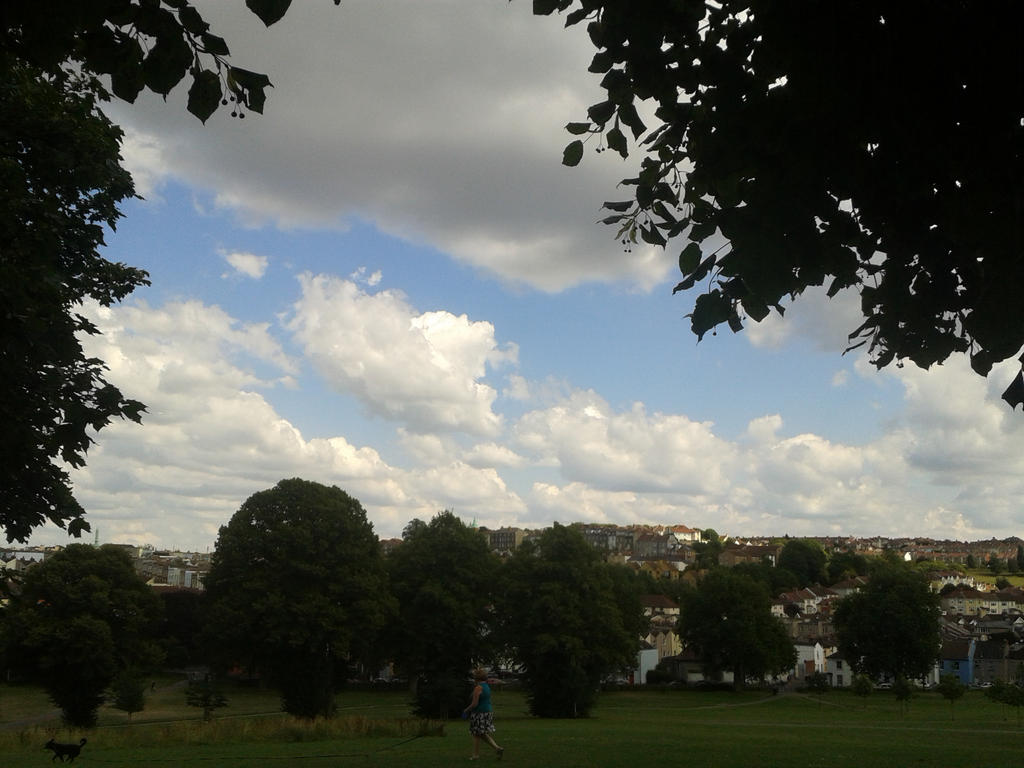 Fluffy White Clouds