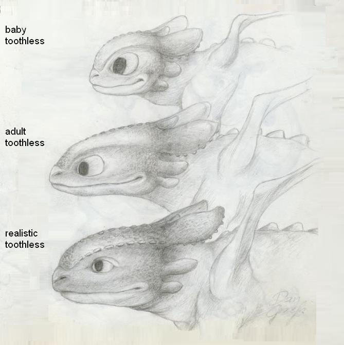 Toothless Evolution by DanGref on DeviantArt