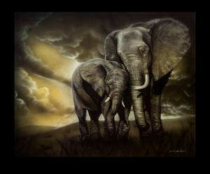 Elephants