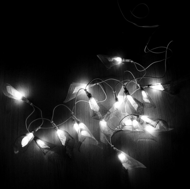 Fairy Lights