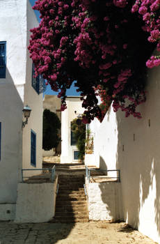 Sidi-Bou-Said