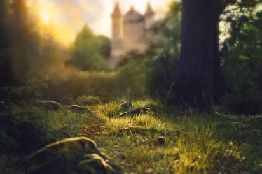 Castle Forest Sunset Background