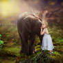 Woodland Wonders :My sweet elephant