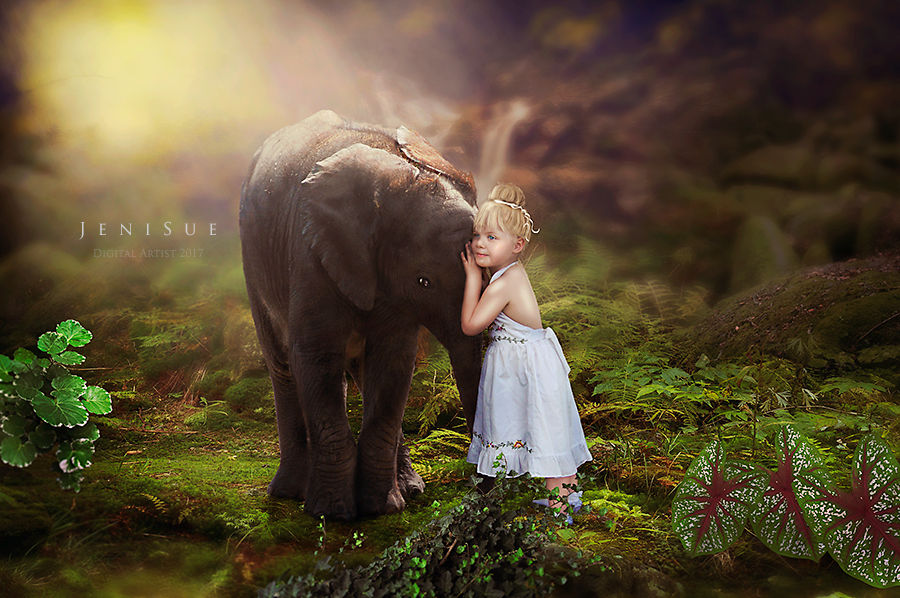 Woodland Wonders :My sweet elephant by Jeni-Sue