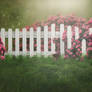 Rose Fence Background