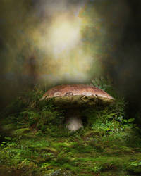 Mushroom Background