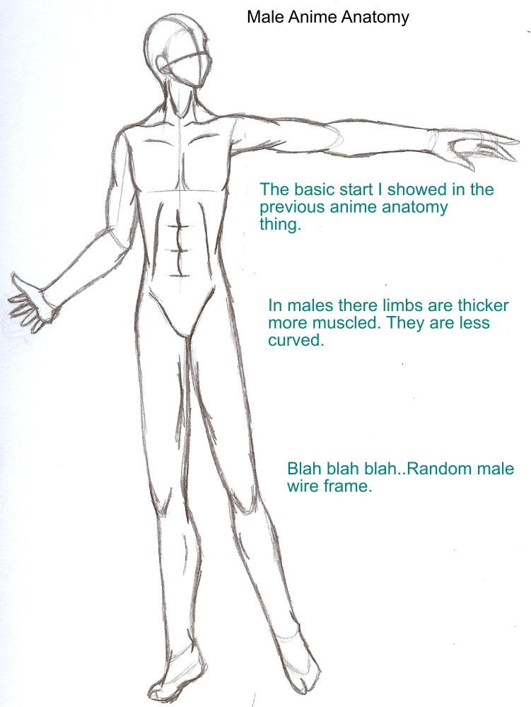 Agshowsnsw  How to draw a male body anime