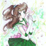 Sailor Jupiter