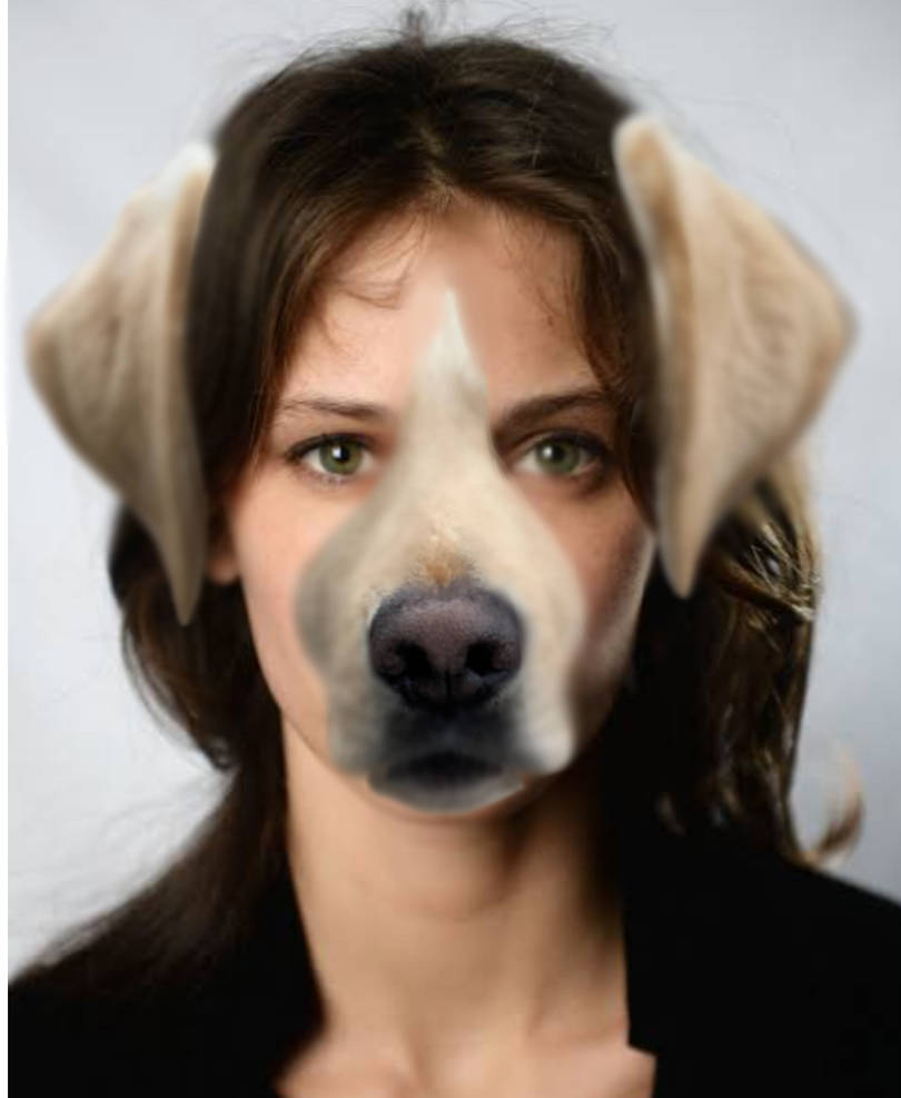 Lab lady morph by MegMorphJokerfan22 on DeviantArt