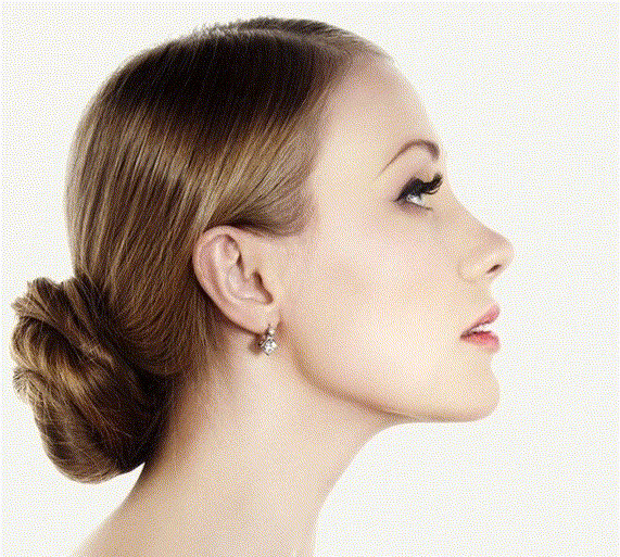 Python morph. by MegMorphJokerfan22 on DeviantArt