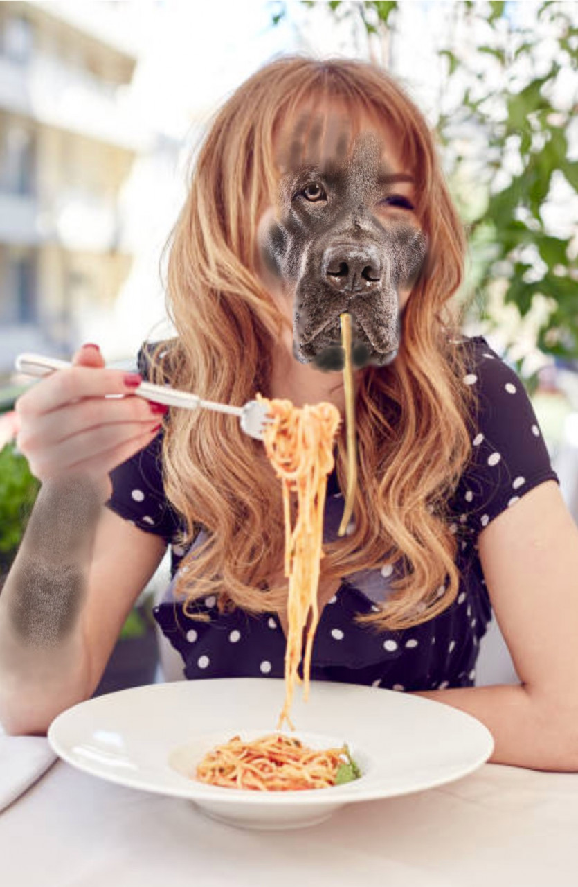 Uh oh spaghettio by MegMorphJokerfan22 on DeviantArt