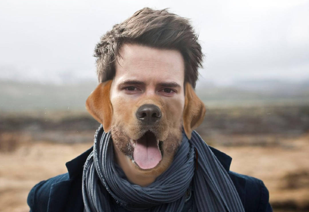 Be a mutt not a man by MegMorphJokerfan22 on DeviantArt