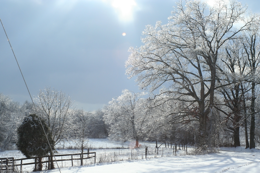 Ice Storm