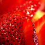 .strawberry.