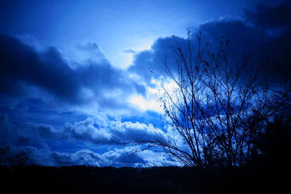 Cold sun by Reptilim on DeviantArt