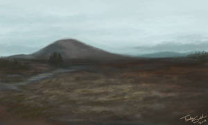 Landscape Practice 1