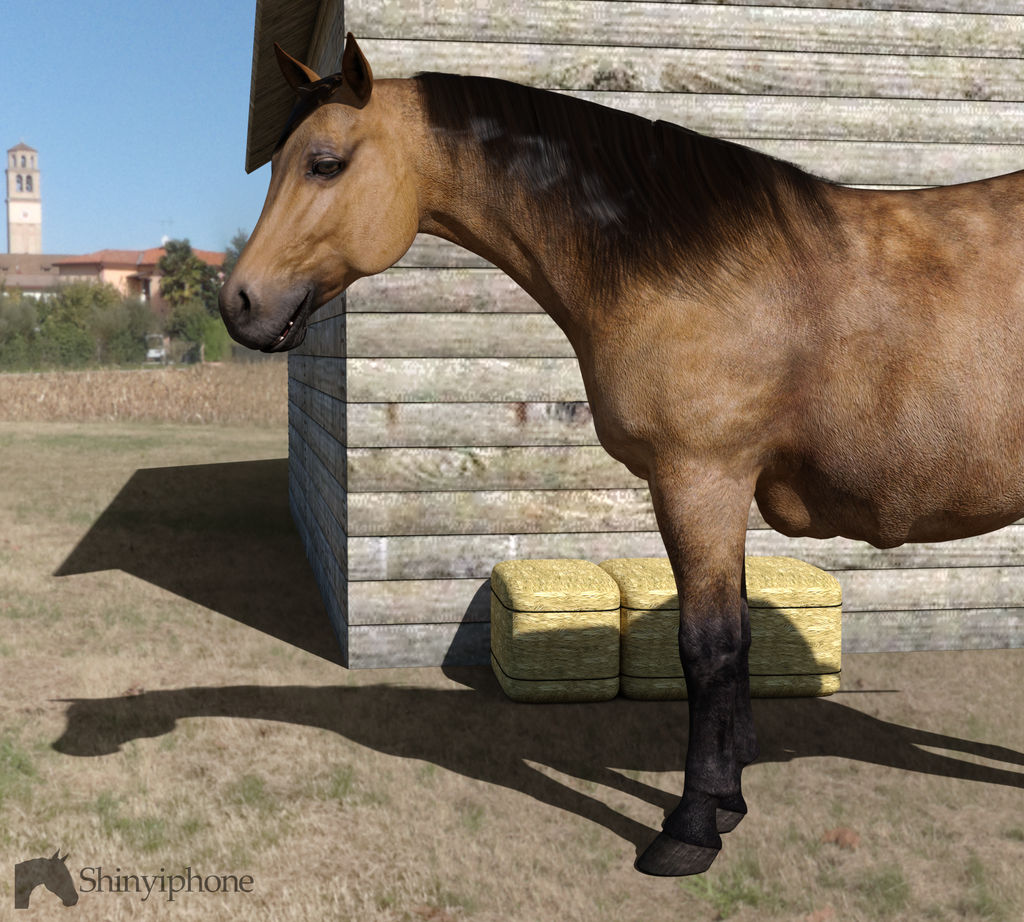 Horse Vore 16 by ShinyIphone on DeviantArt