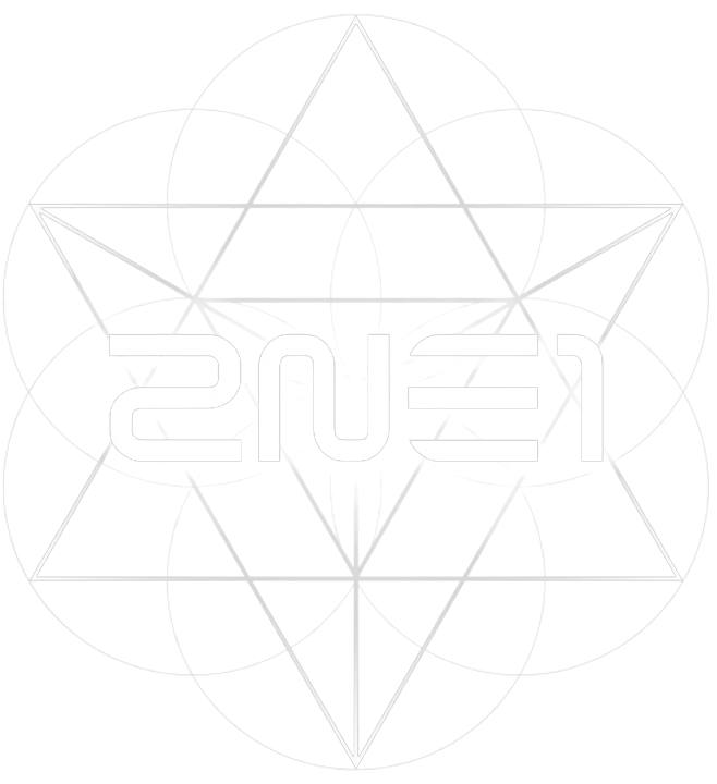 2NE1 Crush Logo