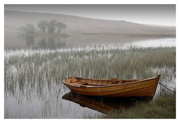 Morning Ferry to Dreamland