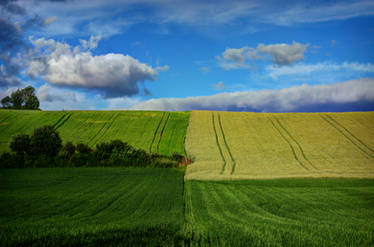 Agricultural art