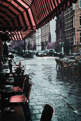 Amsterdam: rainy dinner