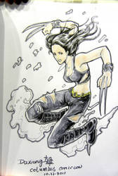 Commissions - X23