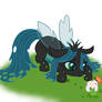 Chrysalis is a very cute pony