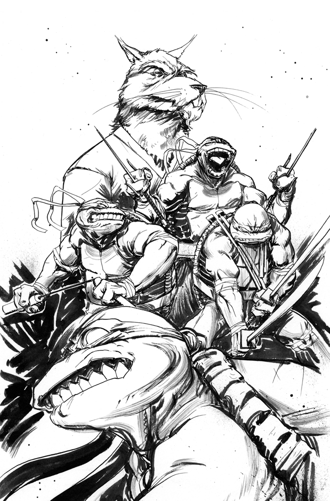 TMNT cover 2