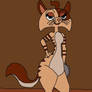 Tambourine Cat