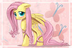 .. :: You Are Shy, Fluttershy :: ..
