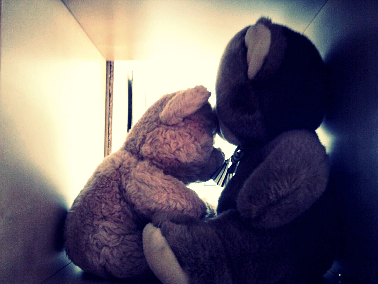 Teddybears in love