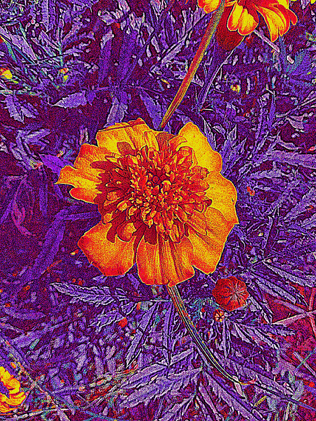 Jasmine Tea by eatidealZ on DeviantArt