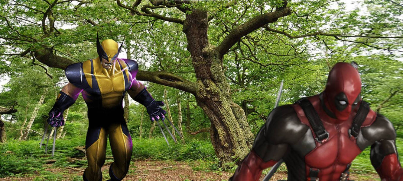 Wolverine Vs Deadpool By Maxohte On Deviantart Wolverine Vs Deadpool By Maxohte On Deviantart