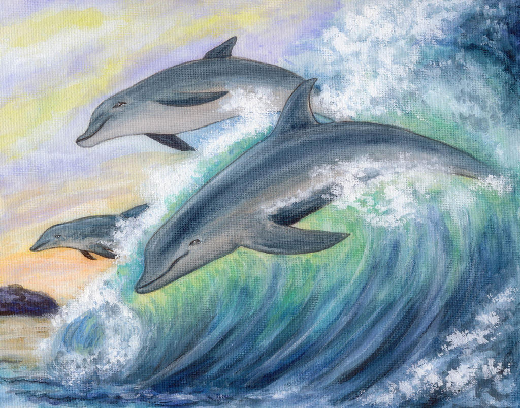 Dream of Dolphins