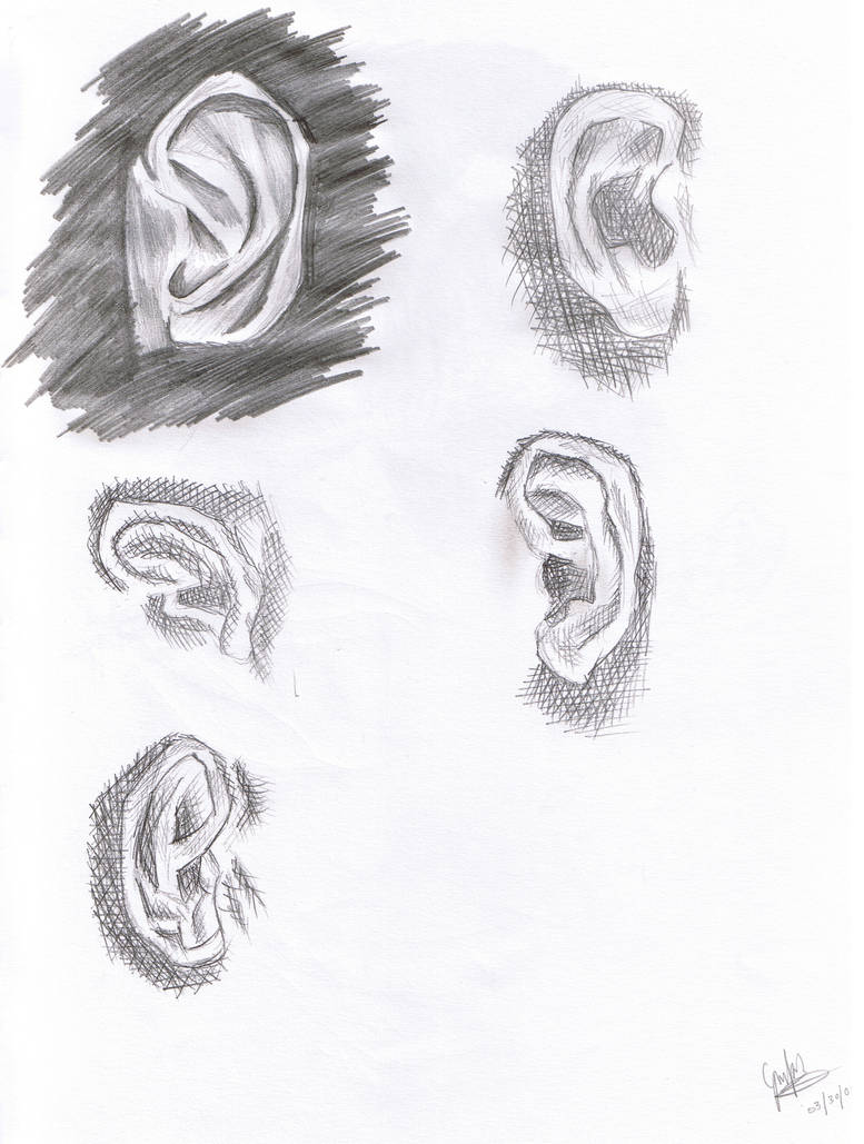 ear study by oOkwokOo on DeviantArt
