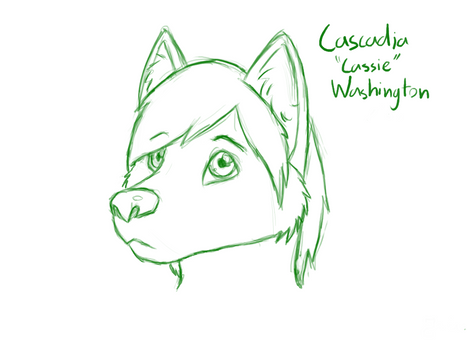 My new Fursona- Cascadia 'Cassie' Washington