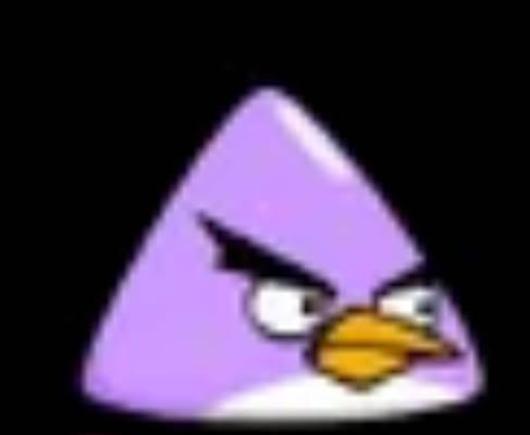 Randy (Angry Birds) by JakeLazyFox2023 on DeviantArt