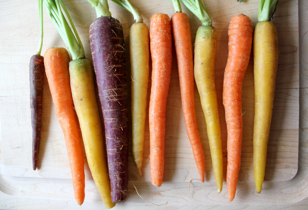 Почему нельзя морковь. Морковь чаровница сахарная. Цветная морковь. Разноцветная морковь. Оранжевая морковь.