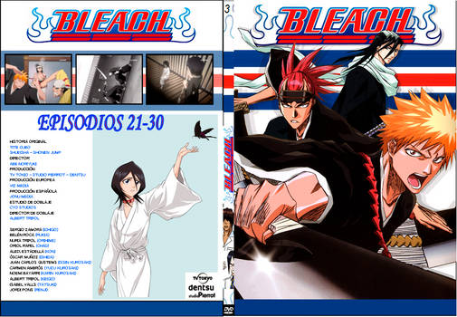 Bleach Vol. 3 (Ep 21-30)