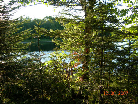 Superior provincial park. Canada