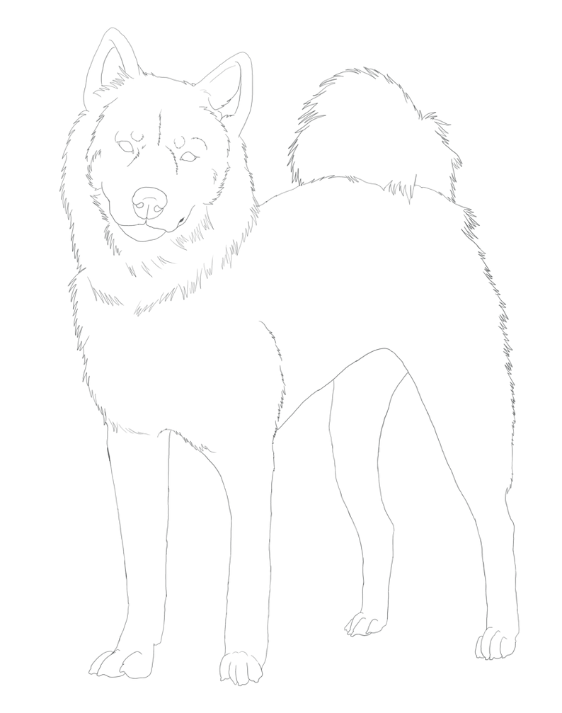 Shiba Inu Line-Art by DoggieDoodles on DeviantArt