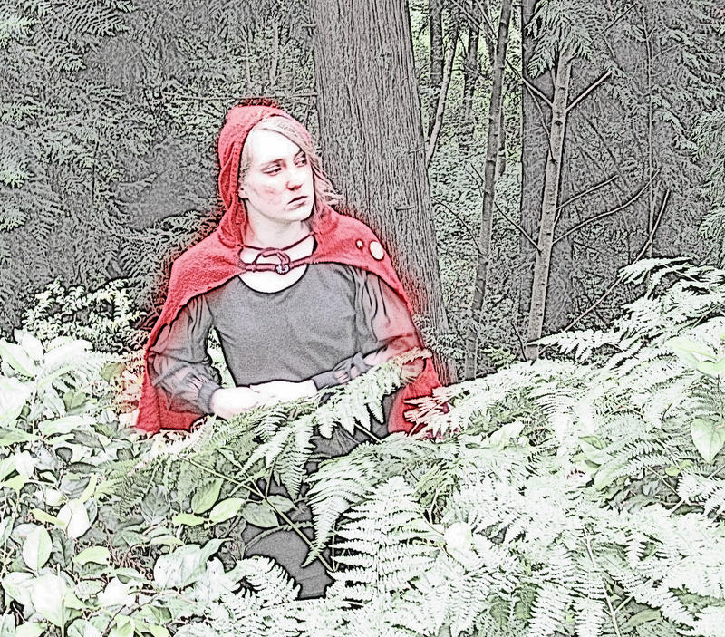 Red Riding Hood Rogue little red riding hood by roguelover321 on DeviantArt