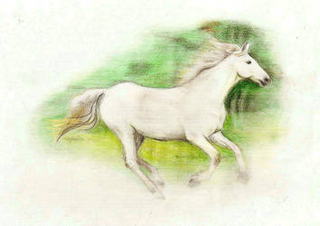 ::horse::