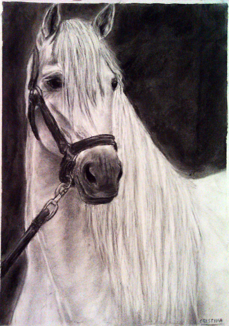 caballo blanco andaluz
