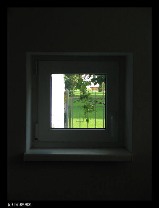 The window