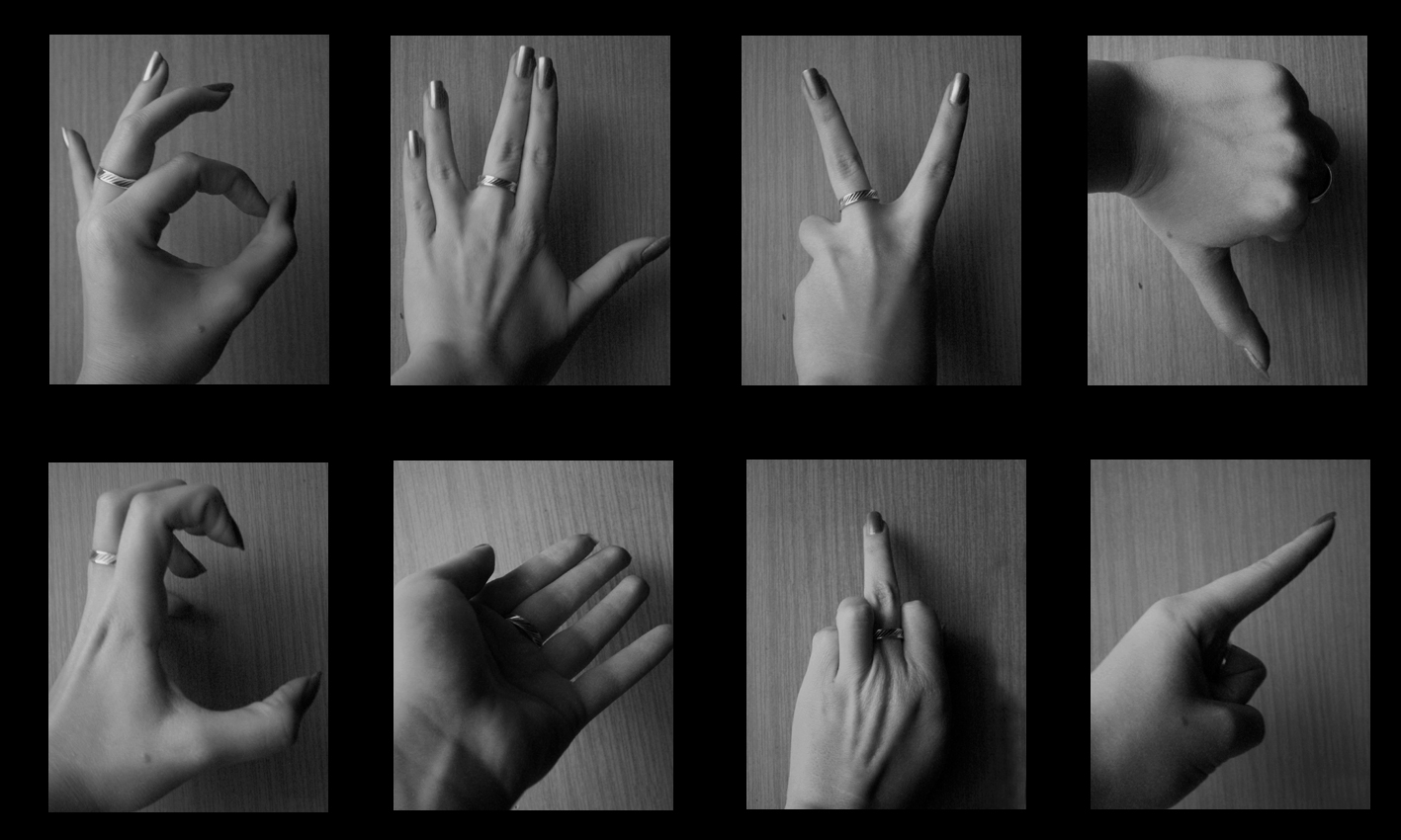 hands..