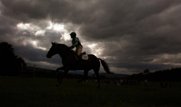 Horse Silhouette