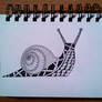 Scribbled Snail